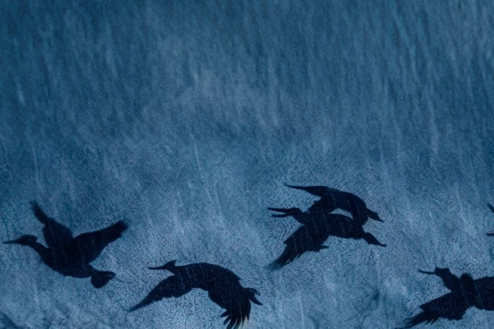 Сцена из спектакля «Утиная охота»