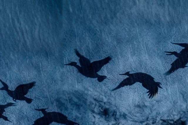 Сцена из спектакля «Утиная охота»