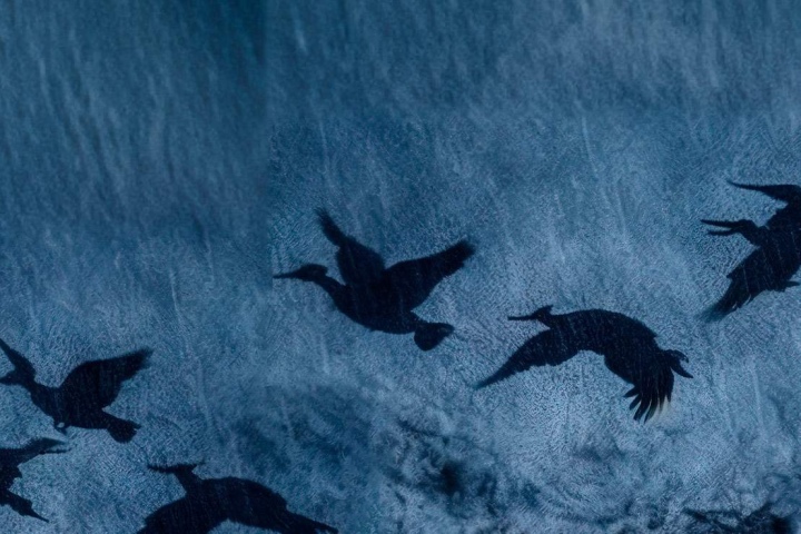 Сцена из спектакля «Утиная охота»