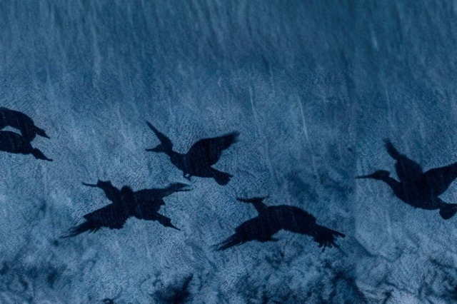 Сцена из спектакля «Утиная охота»