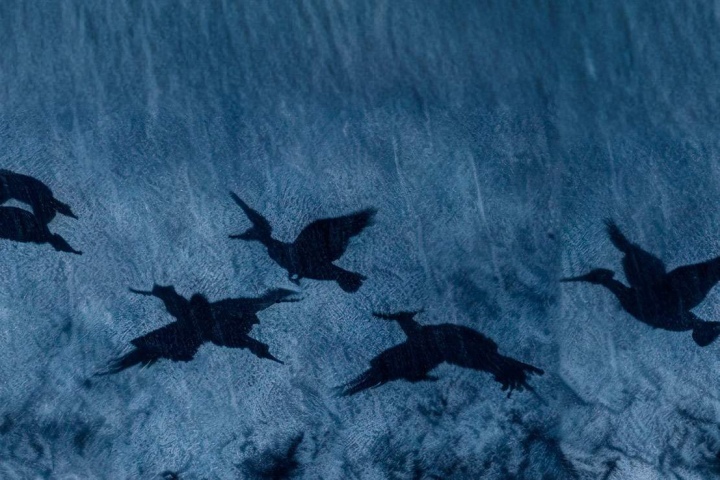 Сцена из спектакля «Утиная охота»