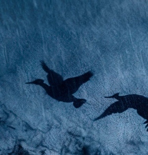 Утиная охота